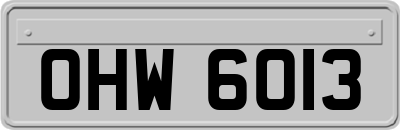 OHW6013