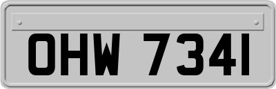 OHW7341