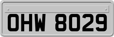 OHW8029