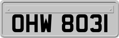 OHW8031