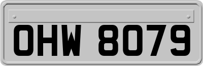 OHW8079