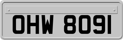 OHW8091