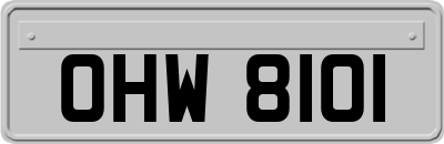 OHW8101