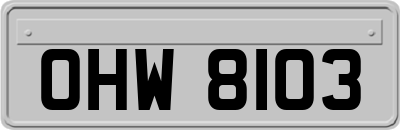 OHW8103