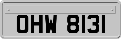 OHW8131