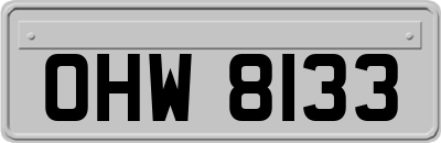 OHW8133