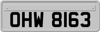 OHW8163