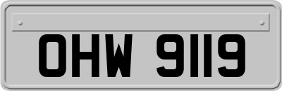 OHW9119