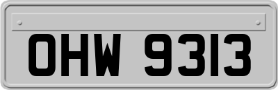 OHW9313