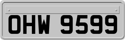 OHW9599