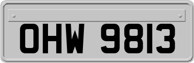 OHW9813