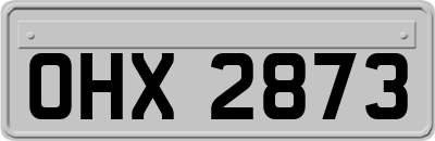 OHX2873