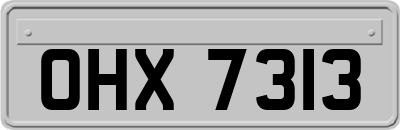 OHX7313