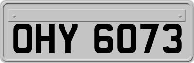 OHY6073