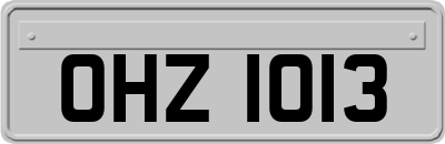 OHZ1013