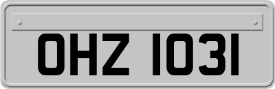 OHZ1031