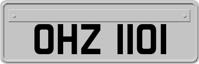 OHZ1101