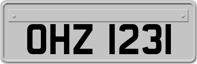 OHZ1231