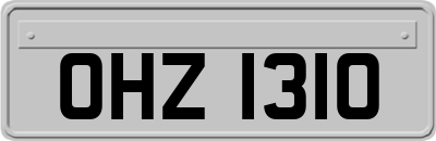 OHZ1310
