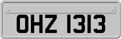 OHZ1313