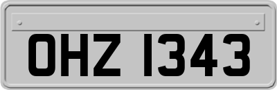 OHZ1343