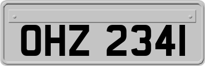 OHZ2341