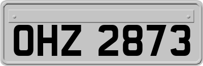 OHZ2873