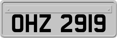 OHZ2919