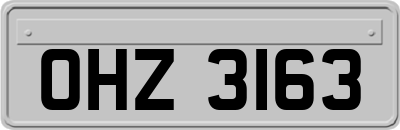 OHZ3163
