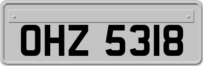 OHZ5318