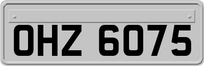 OHZ6075