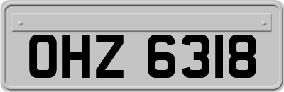 OHZ6318