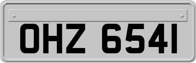 OHZ6541