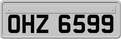 OHZ6599
