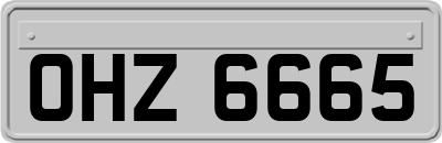 OHZ6665