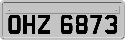 OHZ6873