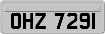 OHZ7291