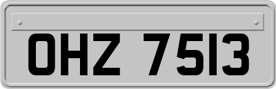 OHZ7513