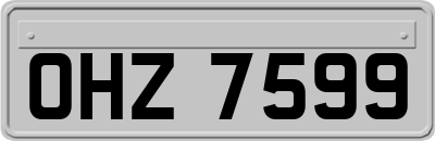 OHZ7599