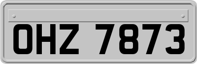 OHZ7873