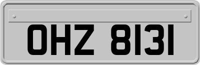 OHZ8131