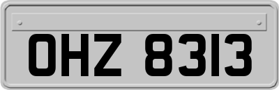 OHZ8313