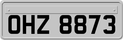 OHZ8873