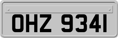 OHZ9341