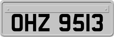 OHZ9513