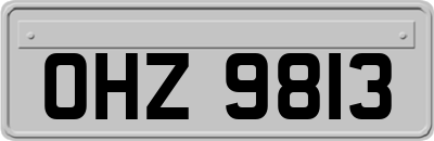 OHZ9813