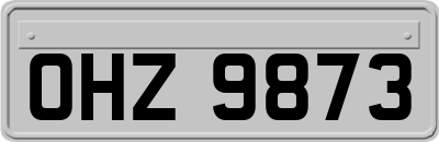 OHZ9873