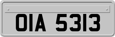 OIA5313