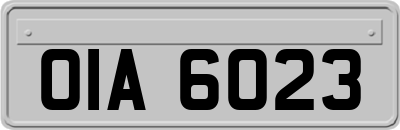 OIA6023