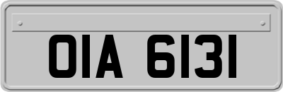 OIA6131